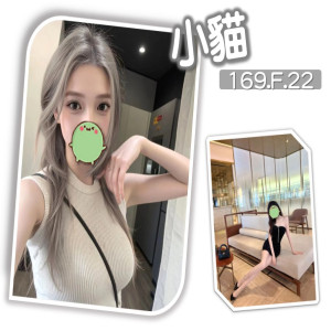 小貓